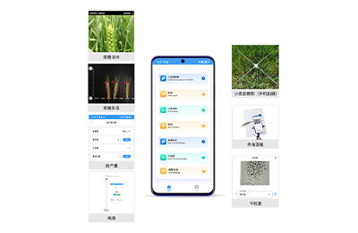 铜仁市小麦表型检测仪IN-XM04