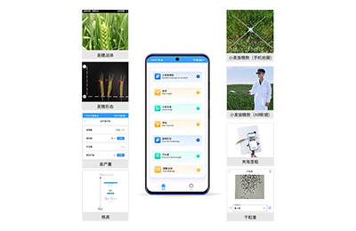 铜仁市小麦表型测量仪IN-XM05